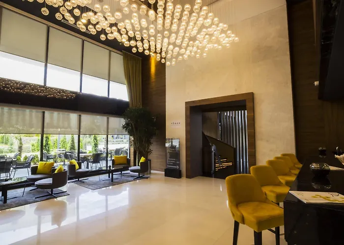 بارك ديديمان طرابزون ترابزون