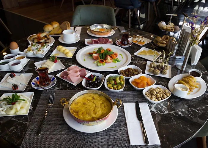 Hotel Park Dedeman 4*