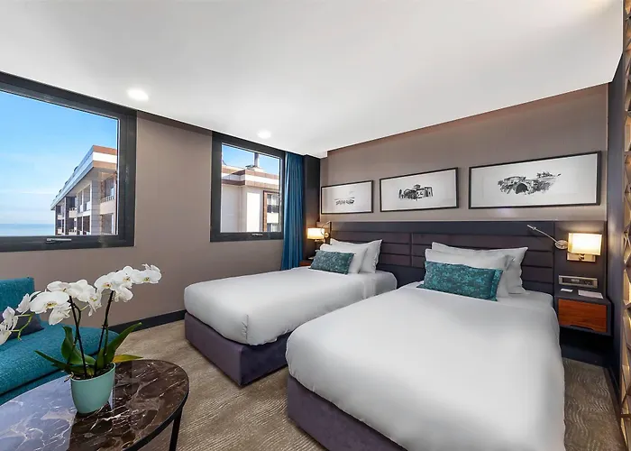 Hotel Park Dedeman 4*