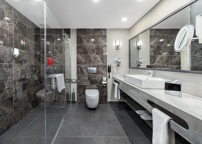 Hotel Park Dedeman 4*