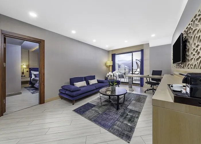 Park Dedeman Hotel 4*