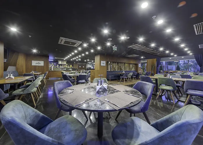 Hotel Park Dedeman 4*