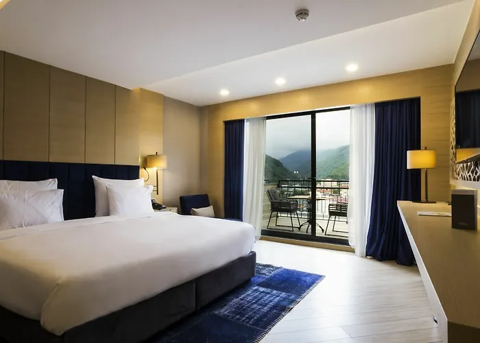 بارك ديديمان طرابزون ترابزون